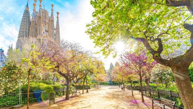 Barcelona spring