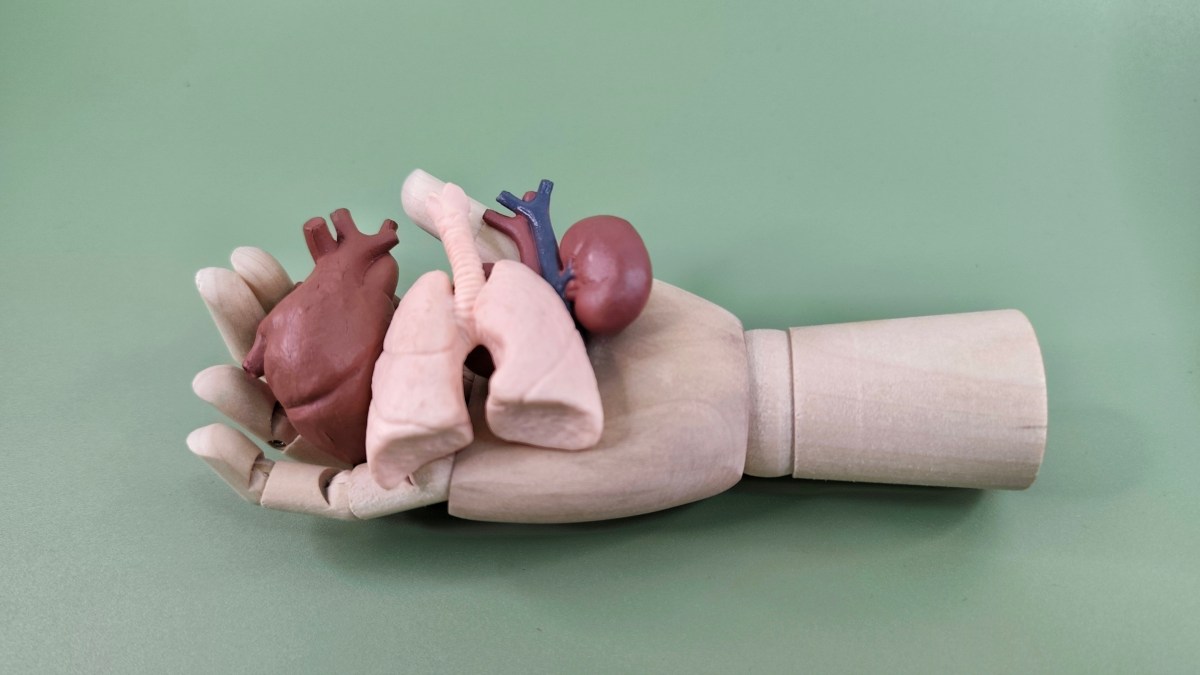 Wooden-Mannequin-Hand-Holding-Human-Organs-–-Concept-of-Artificial-Control-Organ-Trade-Ethics-in-Medicine-and-Symbolic-Representation-of-Exploitation.-.jpg
