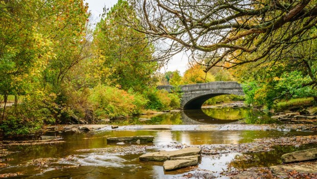bridge-landscape