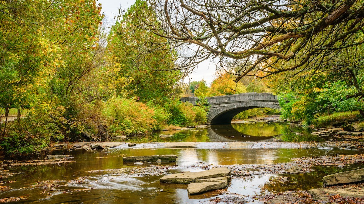 bridge-landscape