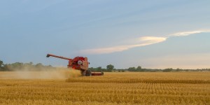 Pope explains how to become a laborer in God&#8217;s harvest