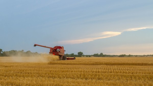 wheat combine harvest farmer sower field