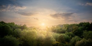 New Catholic fantasy novel makes grace visible