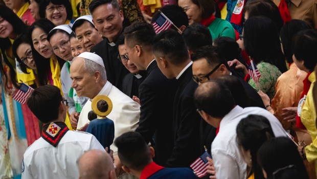 pope-leo-xiv-statue-our-lady-of-la-vang-vietnamese-faithful