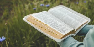 5 Tips on how to interpret the Bible from Dei Verbum