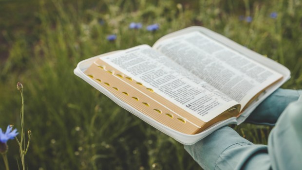 Kinh Thánh có sai lầm không? Giáo hội Công giáo dạy gì