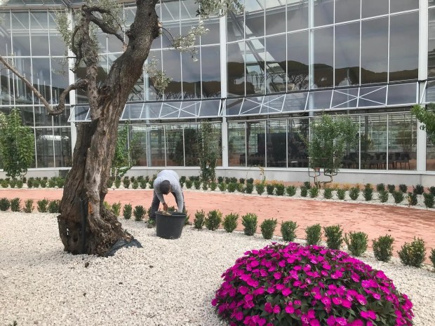 Photo of installations at Borgo Laudato Si' in Castel Gandolfo
