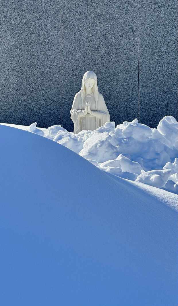 Norwegia zaspy, Matka Boska