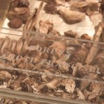 St. Francis relics on display for 800th anniversary of his death