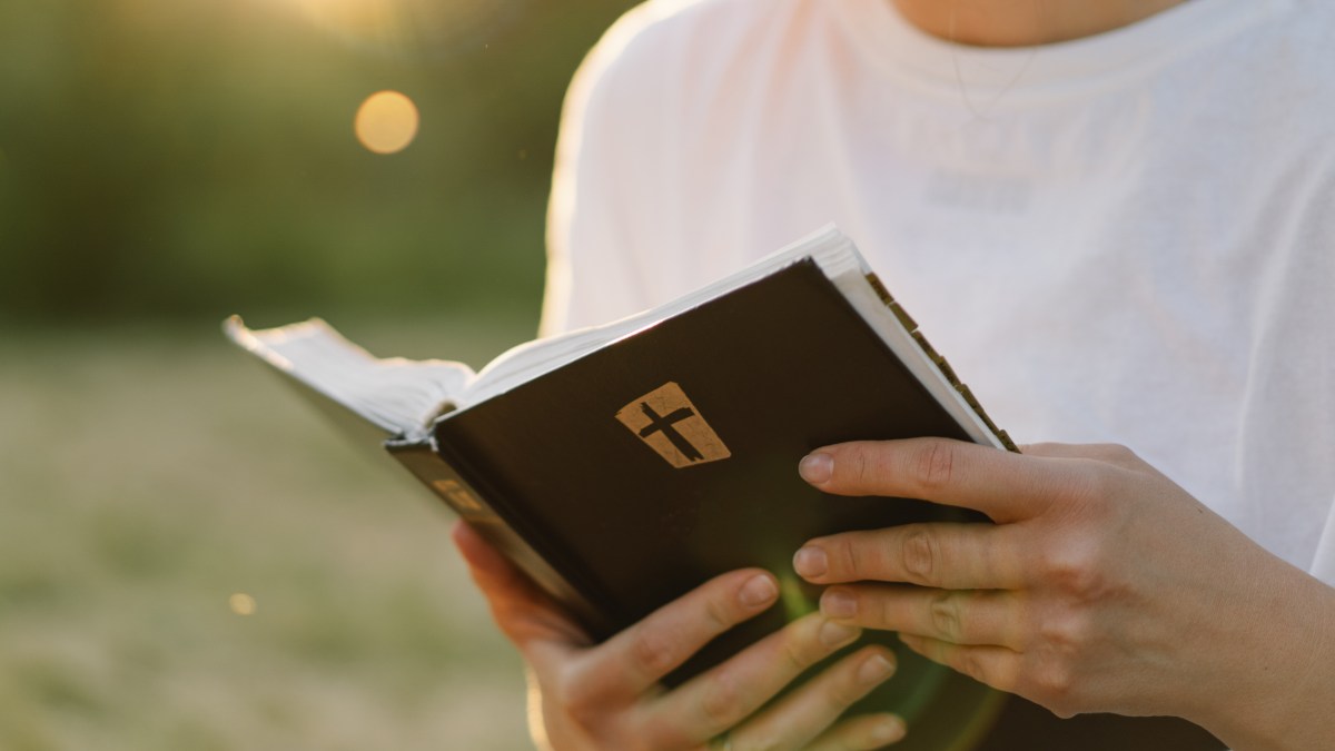 Person reading bible