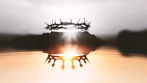 christ-king-crown-thorns-cross