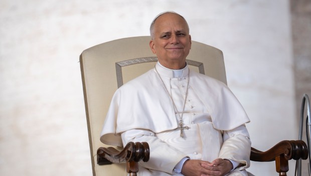 Pope Leo receives most unusual accolade, and we love it!