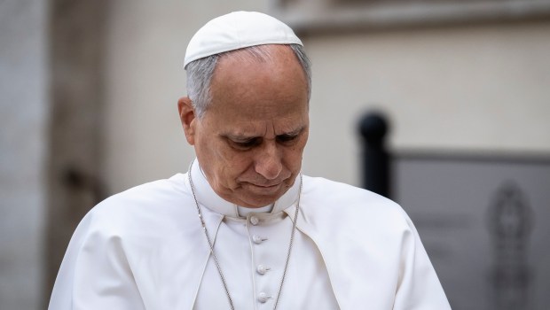 pope-leo-xiv-audience-sad