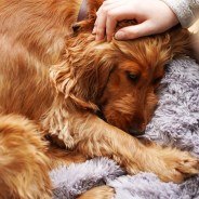 Stickers Item image #0