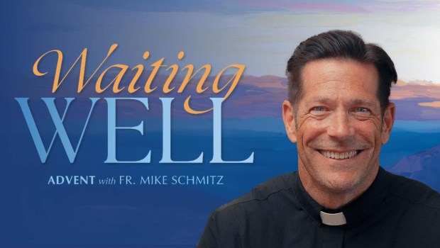 Fr. Mike Schmitz ADVENT WAITING WELL