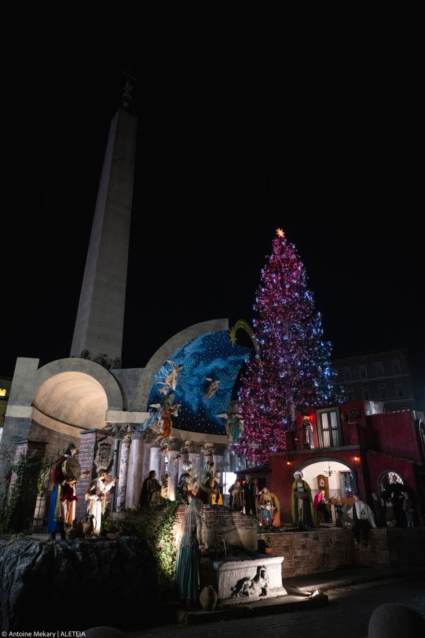 christmas-tree-nativity-scene-st-peters-square-vatican