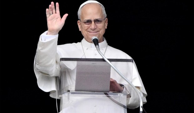 Corner Hero Image - It makes sense to celebrate despite everything: Pope