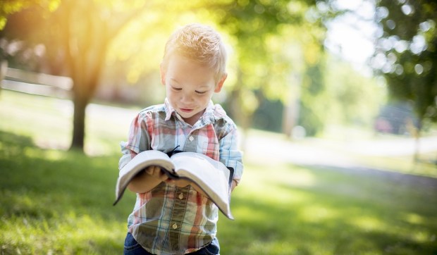 Corner Hero Image - 5 Great Bibles for children