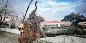 After storm damages Fátima, Pope sends message to Portugal