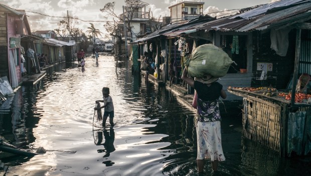 Daily Item image #10