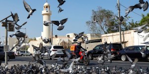 “God never blesses violence”: Pope Leo XIV