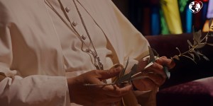 Imagine what a world without wars would be like: Pope Leo