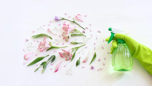 Corner Item Image - 5 Great ways to give your home a Spring reset