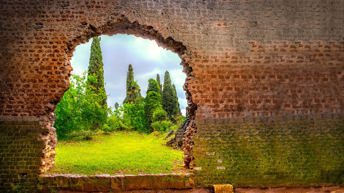 eden-wall-garden.jpg