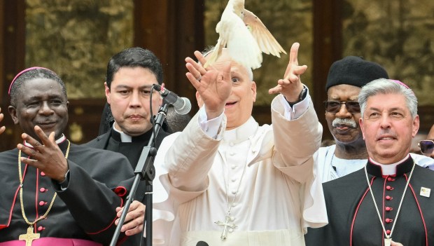 Daily Item image #10