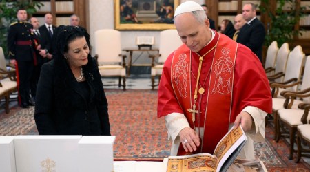 Pope Leo XIV: “I urge everyone to read books”