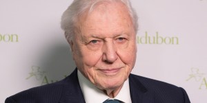 LEGO’s fantastic tribute to Sir David Attenborough at 100