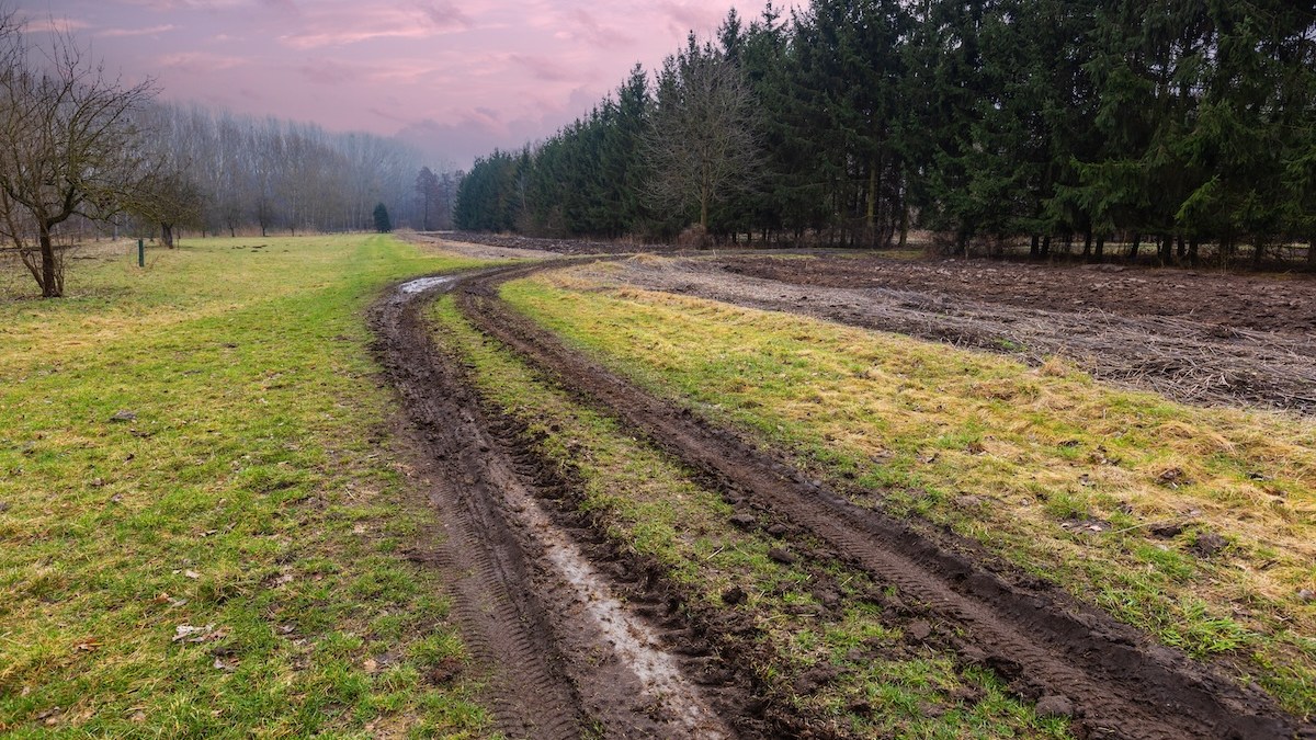 ruts-sunset-spring.jpg