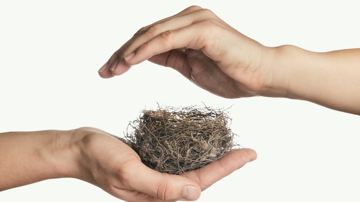 empty nest