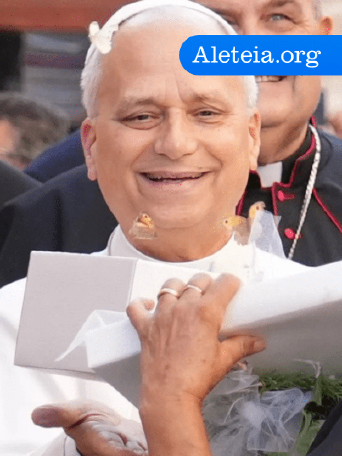 Pope Leo Releases Butterflies