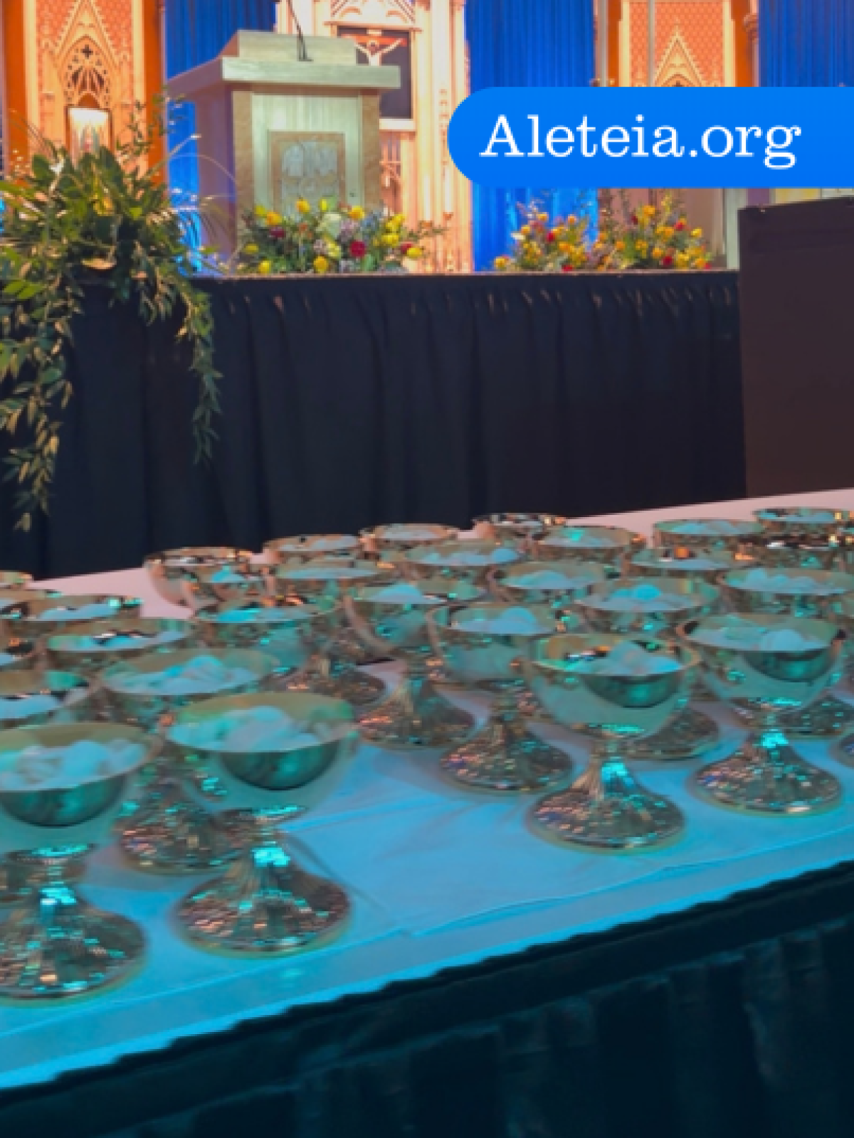 Behind-the-Scenes Look at Beatification Mass