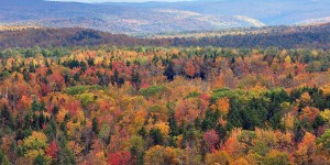 9 Gorgeous spots to combine fall foliage and a sacred pilgrimage